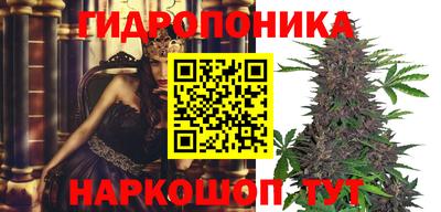 мяу мяу мука Отрадный