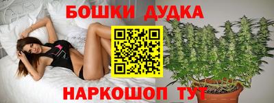 сатива Протвино