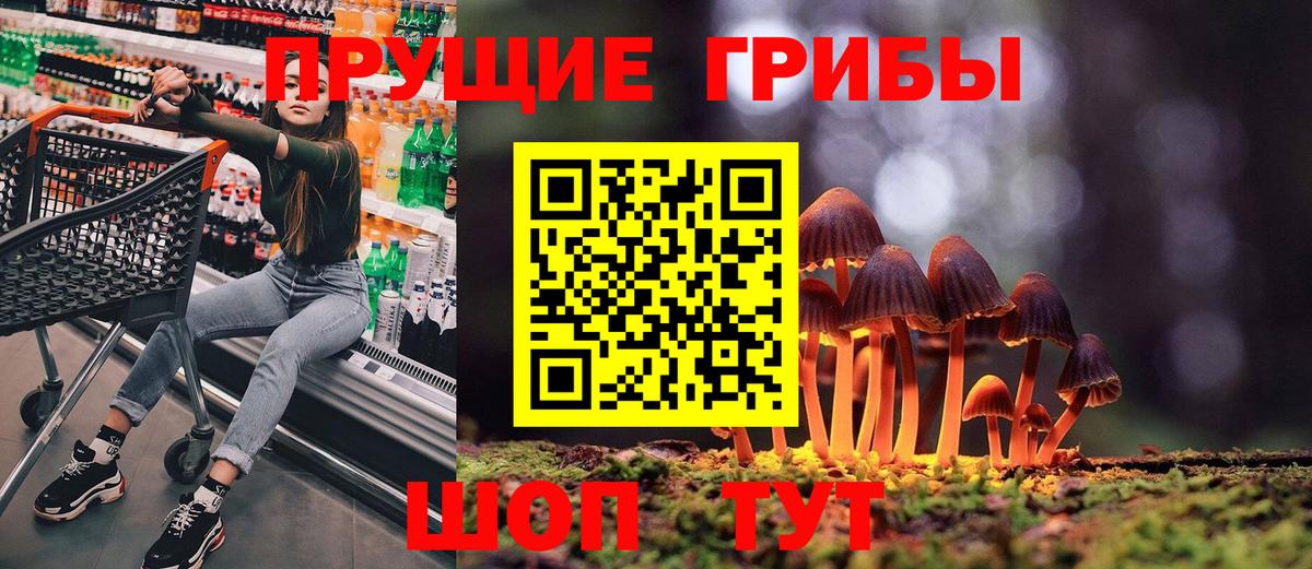 Галлюциногенные грибы Psilocybine cubensis  где купить наркоту  Санкт-Петербург  Вход с VPN 
